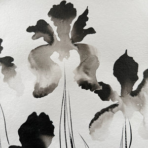 Irises and Ink