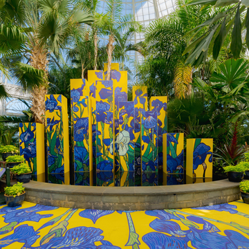 Irises On Yellow Columns